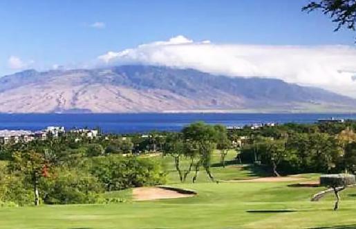 9B Ekahi Village-Studio Bath, Garden View - 1 Minute Stroll To Beach! Wailea  Exteriör bild